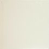 Polcolorit Saloni Universal Beige